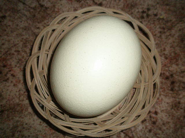 5ab9f58bd1_31373924_o2